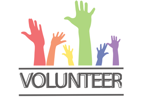 Graphic of different coloured hands raised to volunteer Graphic of different coloured hands raised to volunteer