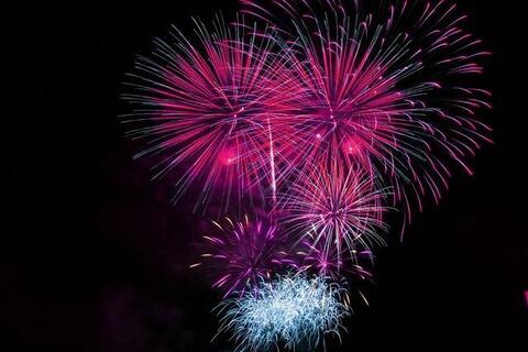 Pink and blue fireworks against the night sky Pink and blue fireworks against the night sky
